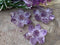 Amethyst Point Flower