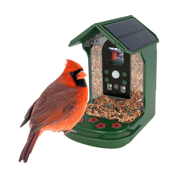 Solar powered Wi-Fi Camera Wild Bird Feeder