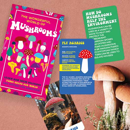 The Wonderful World of Mushrooms Cards