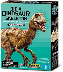 Dig a Dinosaur Skeleton