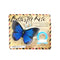 Miniature Butterfly Kites Assorted