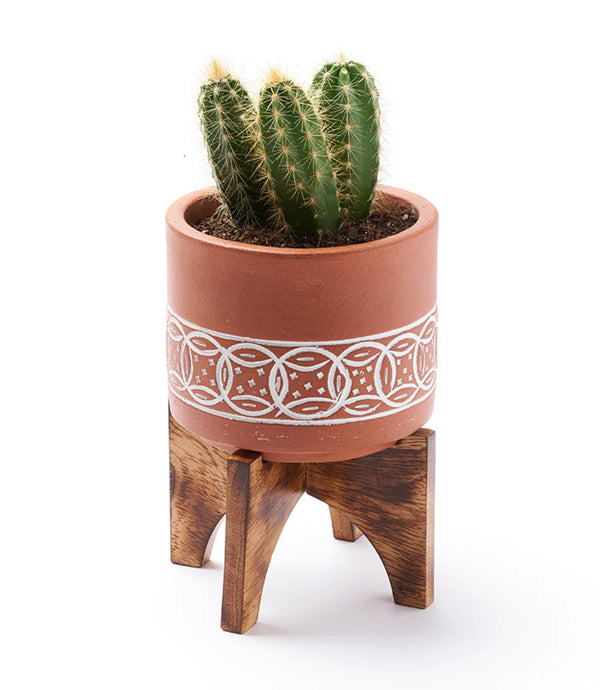 Terracotta Plant Pot with Handcrafted Mango Wood Stand - Medium