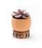 Indukala Terracotta Plant Pot with Mango Wood Stand - Moon Phase Small