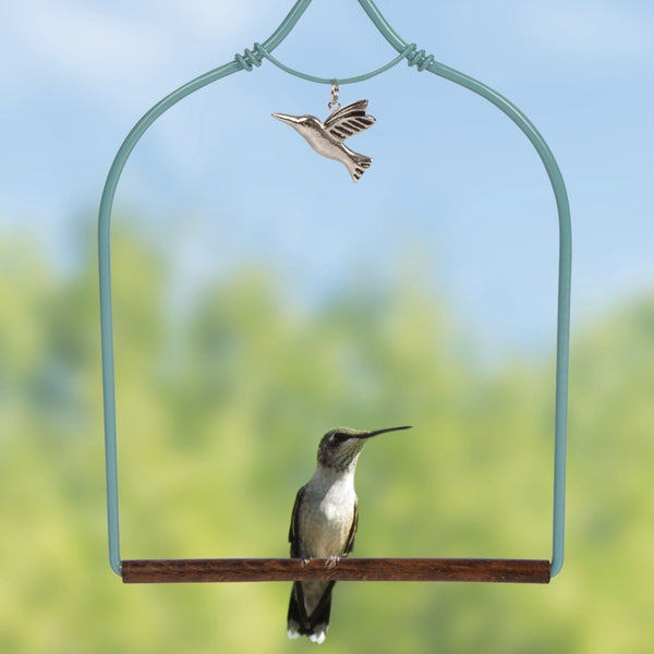 POP'S Charmed Hummingbird Swing (Teal)