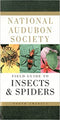 National Audubon Society - Insects & Spiders North America