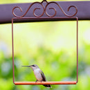 POP'S Original Hummingbird Swing (Brown)