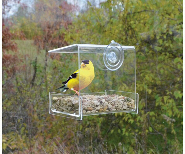 Songbird Essentials Clear View Mini Window Feeder
