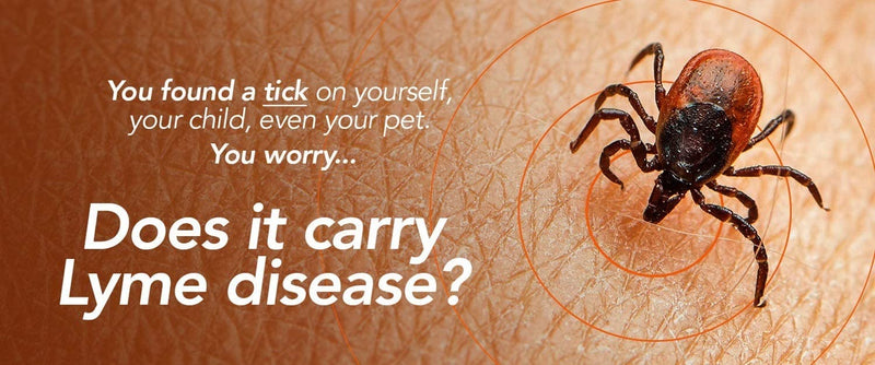 Lyme Disease Tick Test