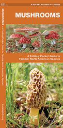 Mushroom Pocket Guide