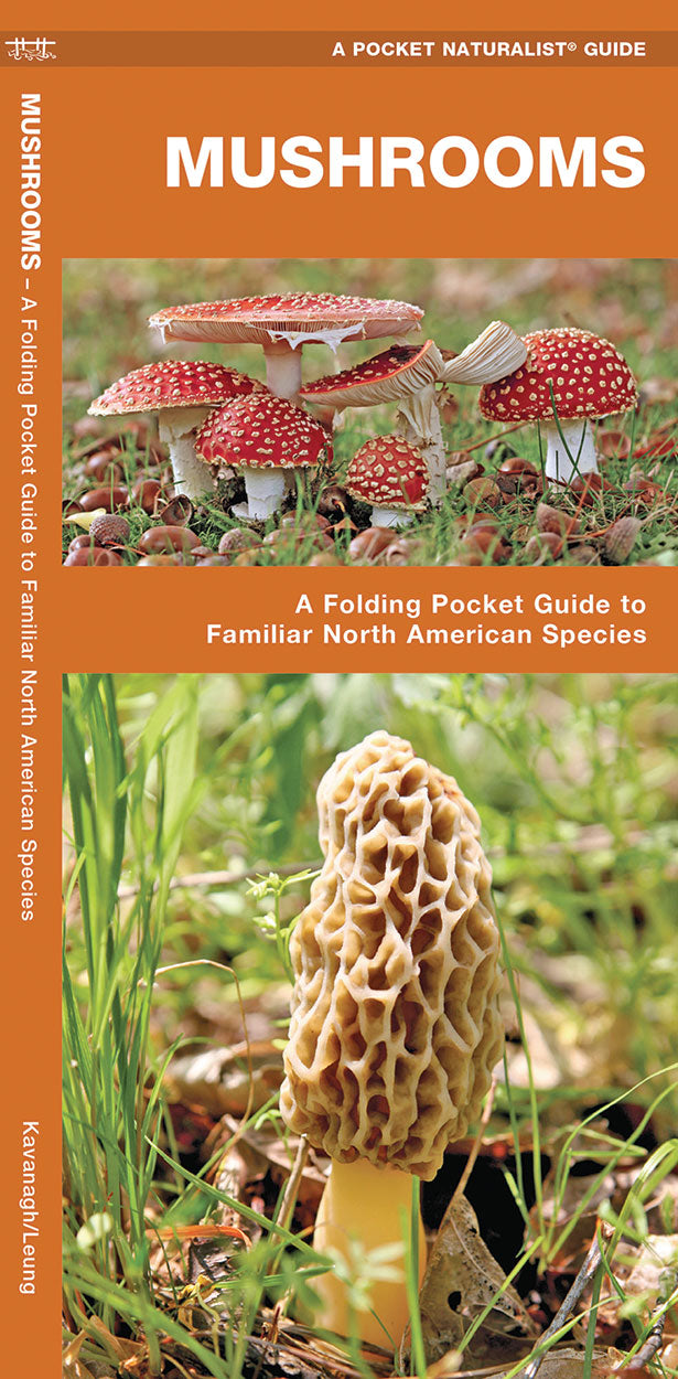 Mushroom Pocket Guide