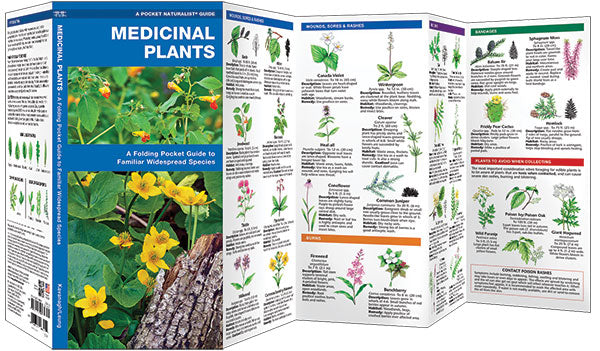 Medicinal Plants Pocket Guide