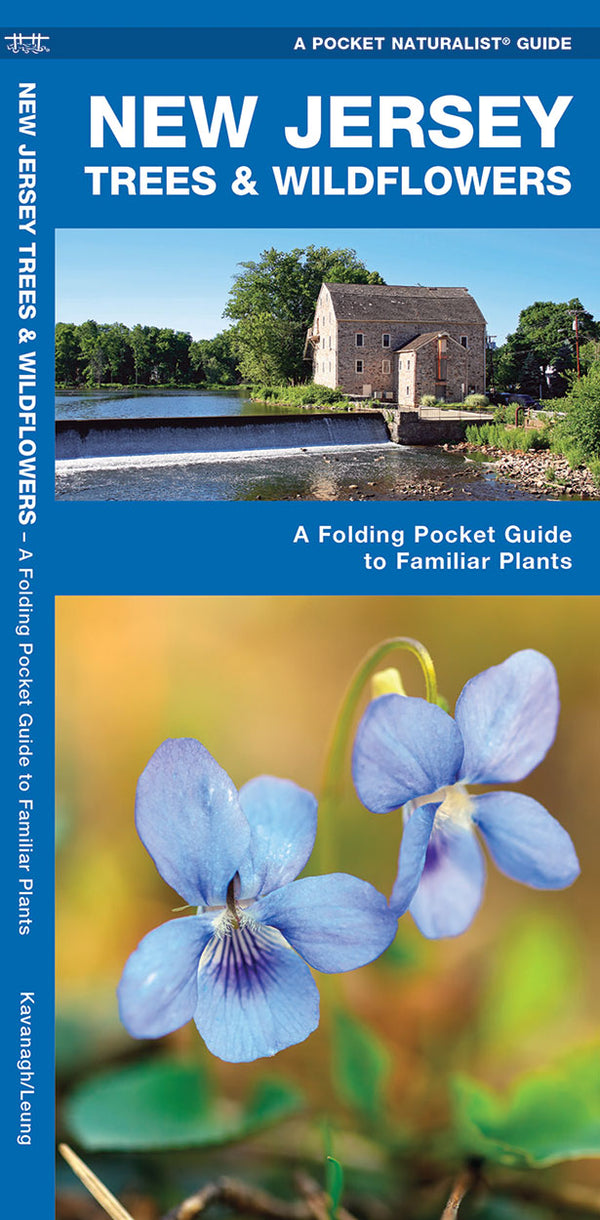 New Jersey Trees & Wildflowers Pocket Guide