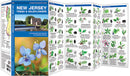 New Jersey Trees & Wildflowers Pocket Guide