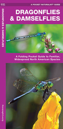 Dragonflies And Damselflies Pocket Guide
