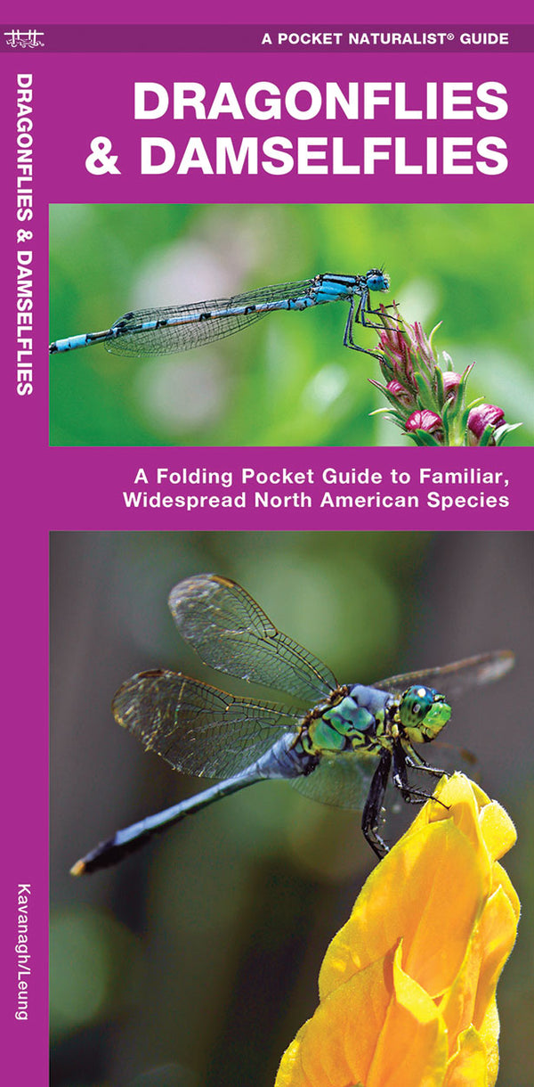 Dragonflies And Damselflies Pocket Guide