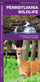PA Wildlife Pocket Guide