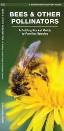 Bees And Other Pollinators Pocket Guide