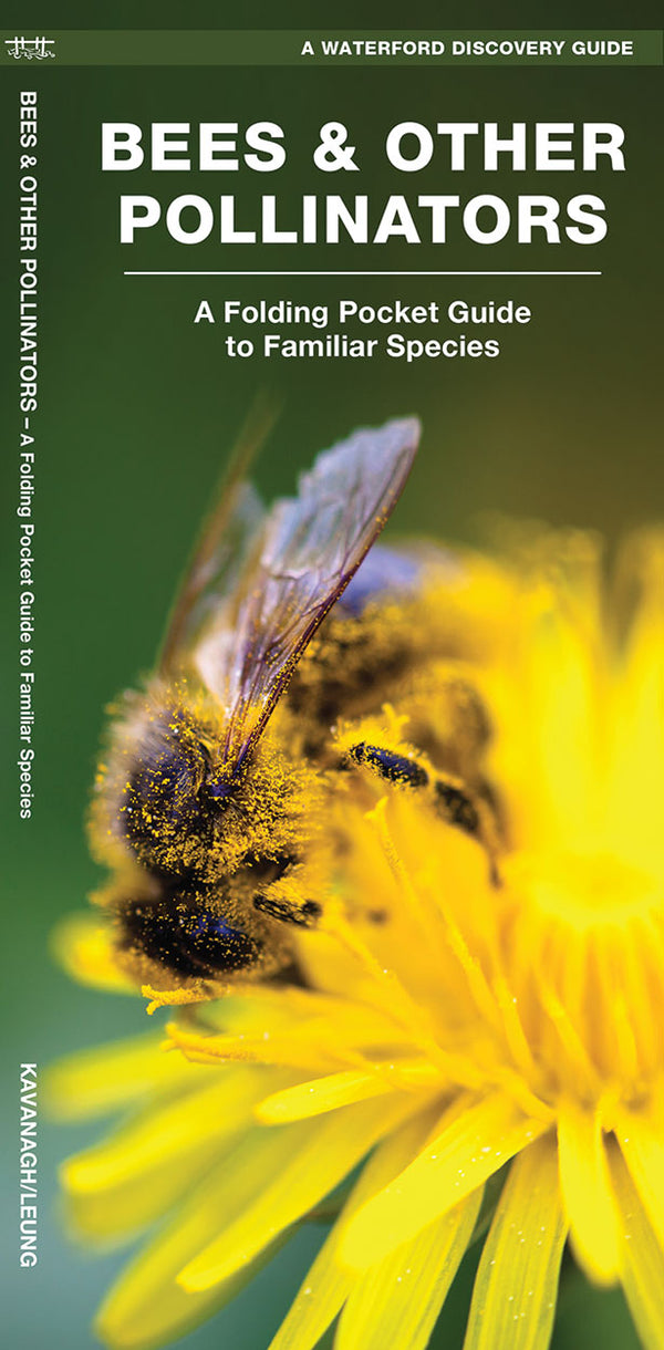 Bees And Other Pollinators Pocket Guide