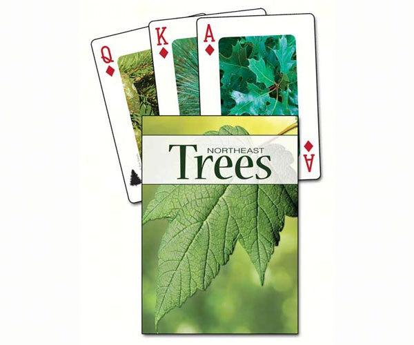 Northeast Trees Playing Cards