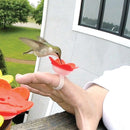 Hummingbird Feeder Ring