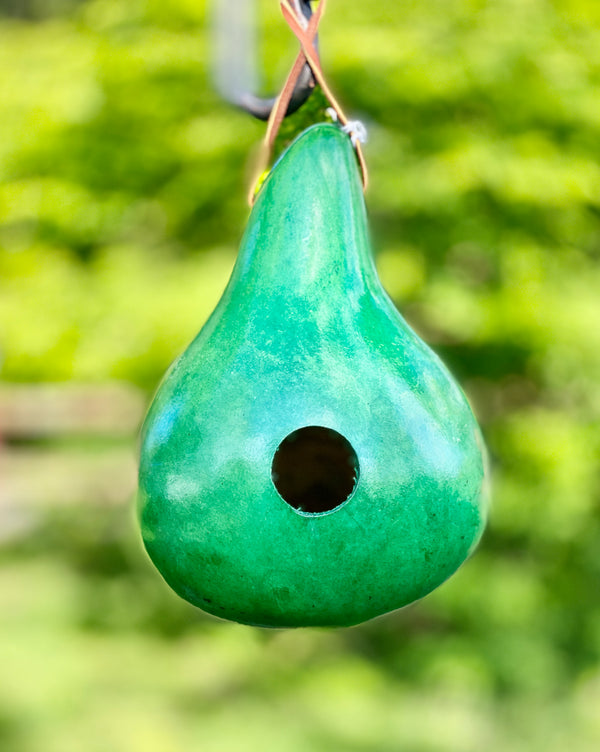 Gourd Birdhouse Painted  (Made In Pennsylvania)