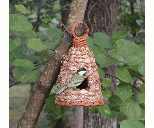 Songbird Essentials Roosting Grass  Birdhouse