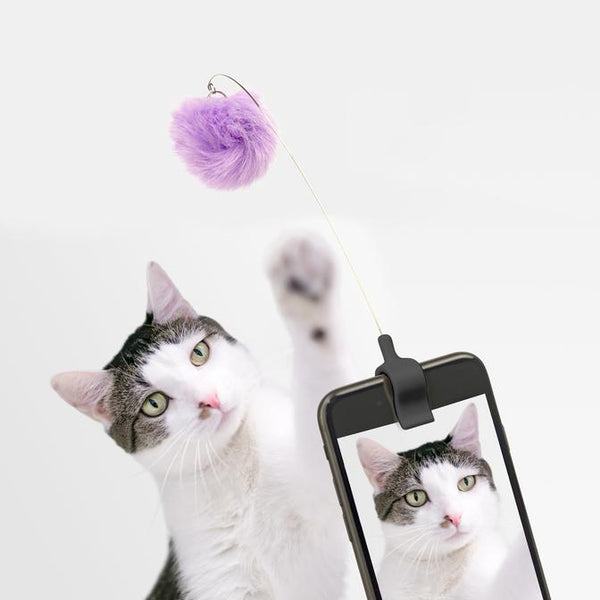 Kitty Phone Clip