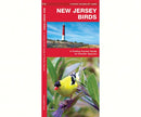 New Jersey Birds