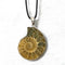 Co. Ammonite Fossil Necklace