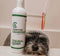 Cedarcide Cedarsuds Pet Shampoo