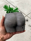 Little Butt Planter-Grey