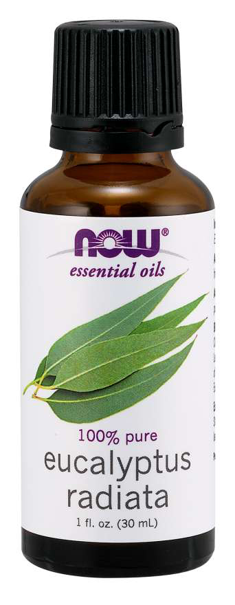 Now Essential Oils Eucalyptus Essential Oil