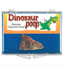 Fossilized Dinosaur Poop