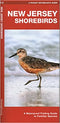 New Jersey Shore Birds Pocket Guide