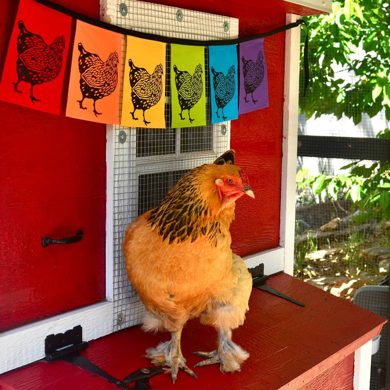 Wind Sparrow Rainbow Chicken Indoor/Outdoor Flags